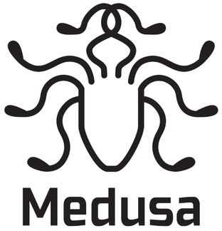 Medusa icon-1